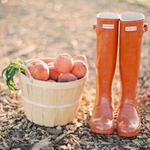 Meet your Posher, Bethanne